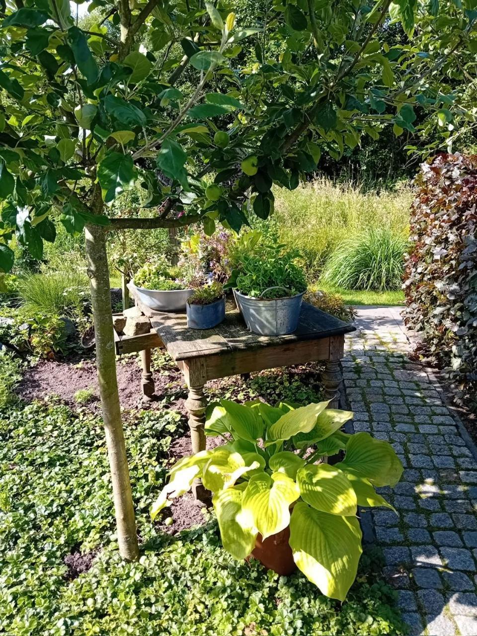 Klause Am Gruenen Hof Apartment Friesoythe